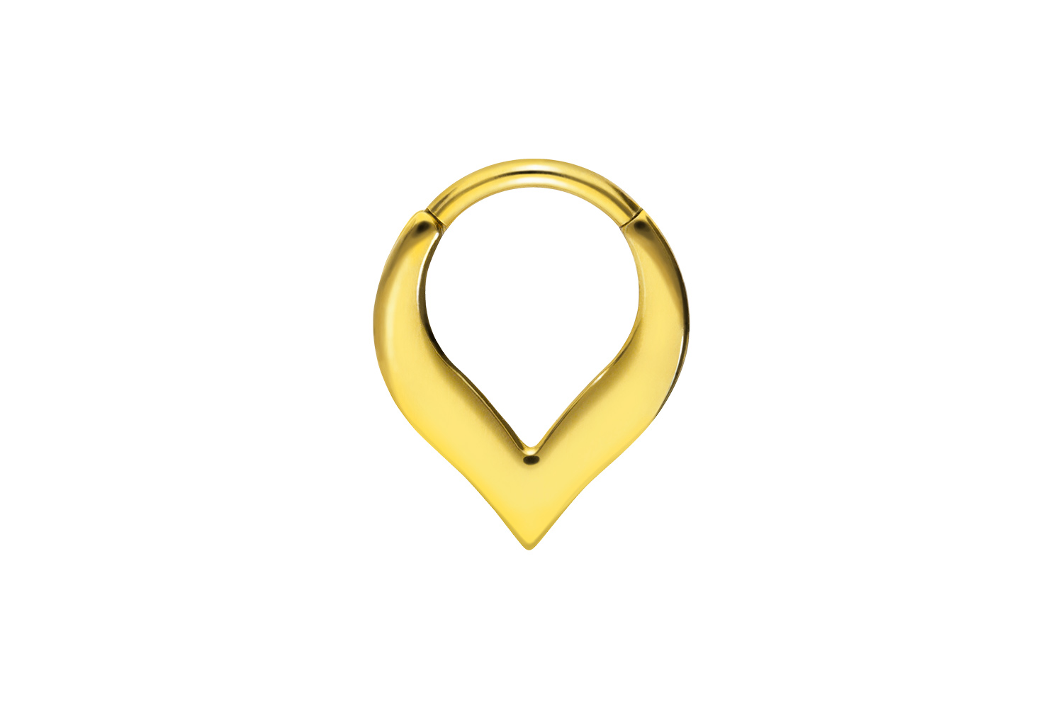 Chirurgenstahl Segmentring Clicker Piercing SPITZ